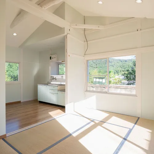 Property Renovation Services